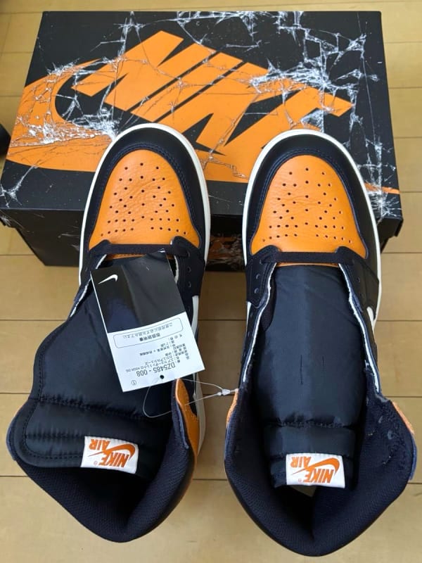 Nike Air Jordan 1 Retro High OG Shattered Backboard 2025