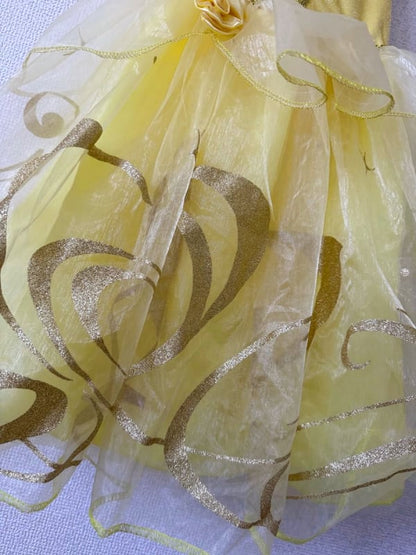 Princess Dress Size 110-120