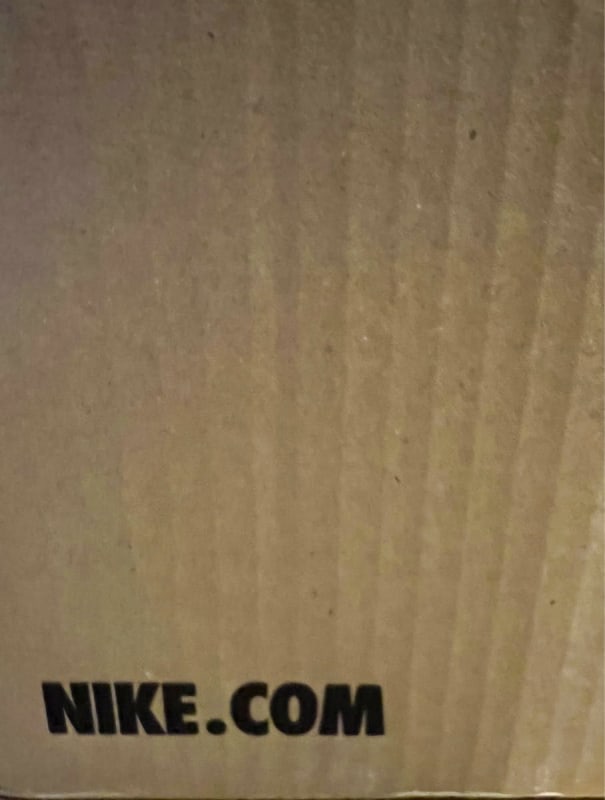 Nike Pegasus Plus Running Shoes 28.0cm