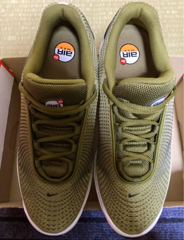 Nike Air Max DN 28.0cm